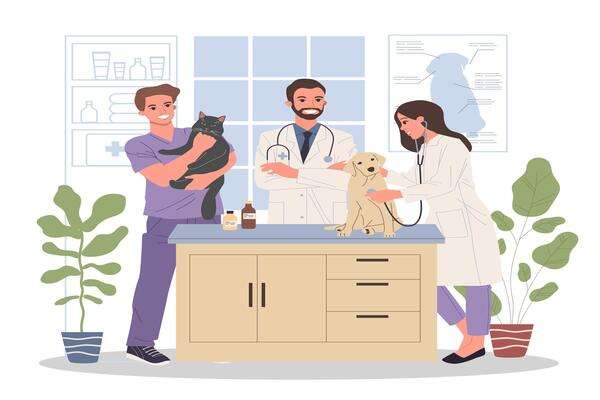 How to make your veterinary hospital a success story - Turnkey Solutions